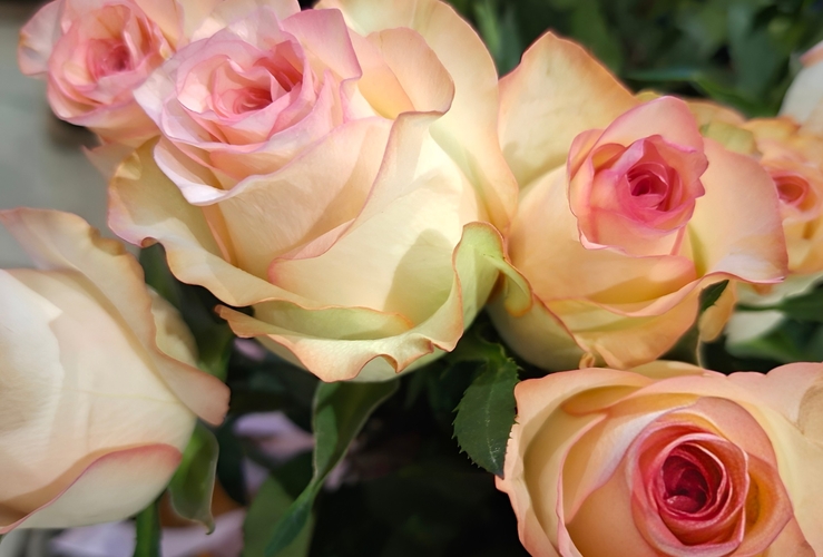 ОАО "Компания "МогНат" в посольстве в Москве