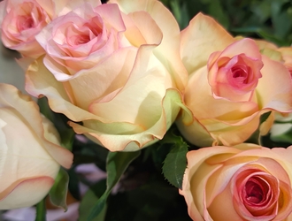 ОАО "Компания "МогНат" в посольстве в Москве