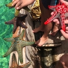 экскурсии на Занзибаре остров Мнемба дайвинг снорклинг