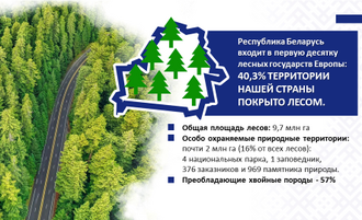 ОАО "Компания "МогНат" в посольстве в Москве