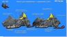 Чехол для снегохода Чехол для снегохода