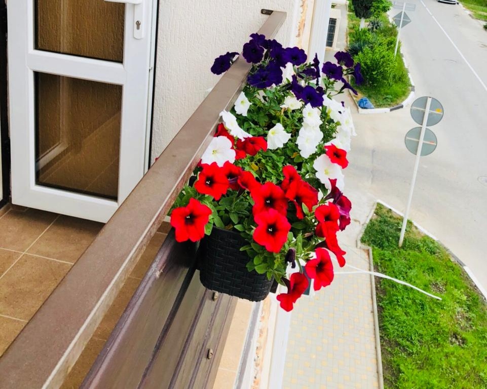 геленджик отели фото