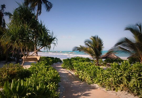 природа Занзибар, на Занзибар Минск Киев