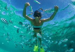 рыбки Занзибар, на Занзибар Минск Киев