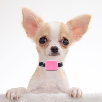Антилай Smartdog 656 с вибрацией для мелких собак