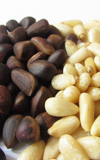 кедровый орех ядро оптом кедровый орех ядро оптом