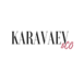 Karavaev&Co