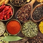 экскурсии на Занзибаре плантация специй