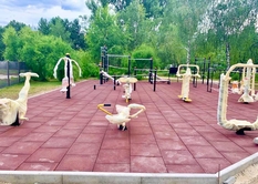 Покрытие Для WORKOUT площадок