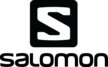 Горные лыжи Salomon