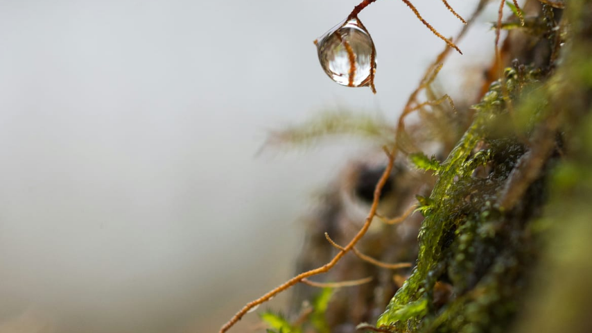 экологическая компания эталон
