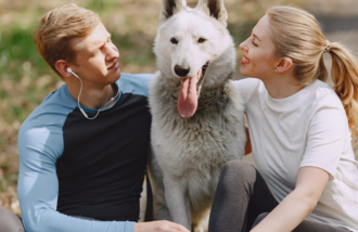 Советы по уходу за собакой с хронической болезнью почек