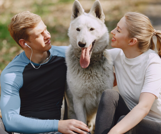 Советы по уходу за собакой с хронической болезнью почек