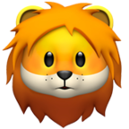 плавание с дельфинами в Абхазии