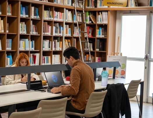 Arucad, Арукад университет искусств