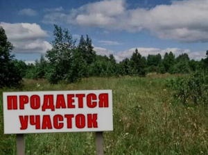 Схема расположения земельного участка на кадастровом плане для продажи