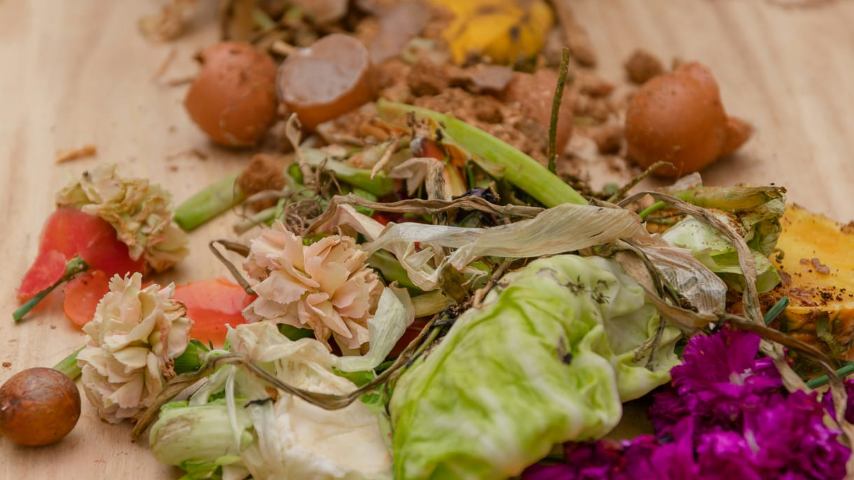 обезвреживание пищевых отходов ооо эталон