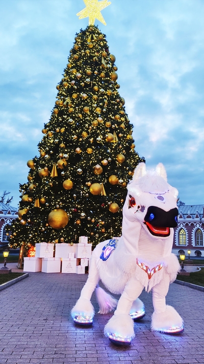 световое шоу