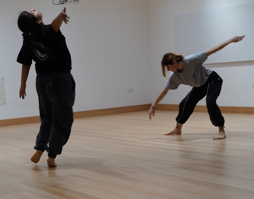 Arucad, Арукад университет искусств