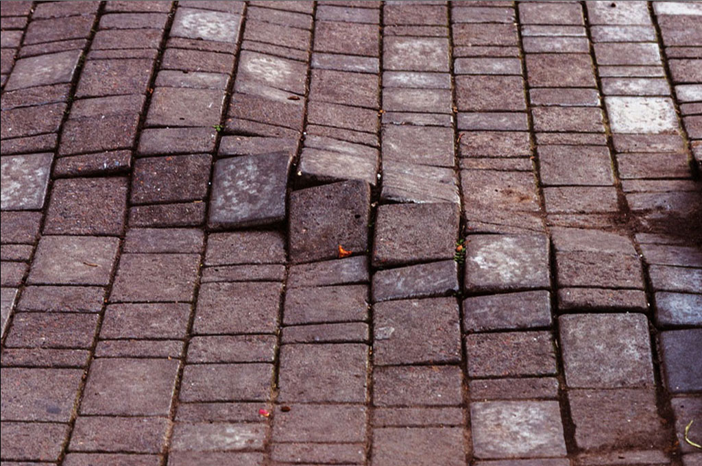 Тротуарная плитка сместилась и приподнялась после зимы — последствия морозного пучения