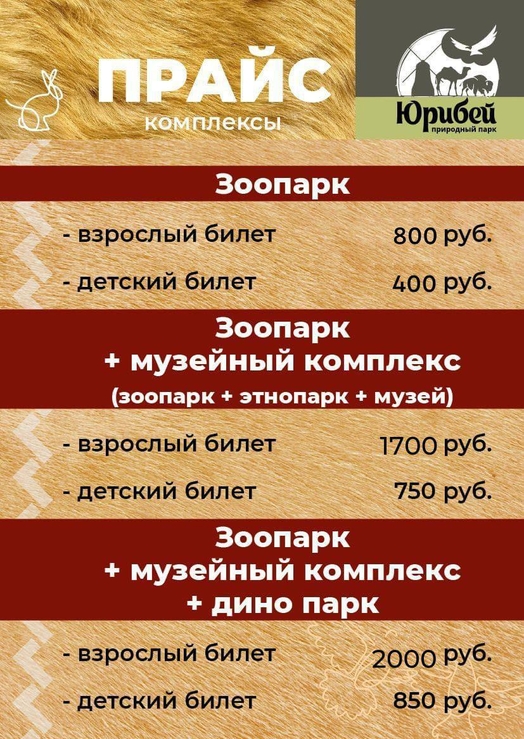Природный парк, Отдых за городом, Музеи Тюмени