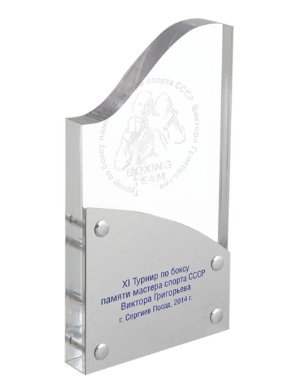 турнир памяти