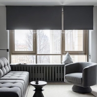 Черные Рулонные шторы в гостиной 