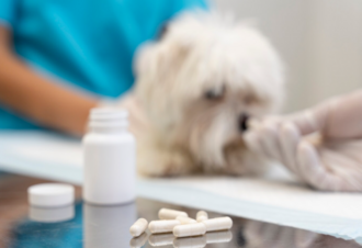 Лечение почечной недостаточности: консервативные и хирургические методы