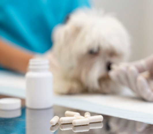 Лечение почечной недостаточности: консервативные и хирургические методы