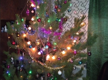 гостевой дом Лысые горы