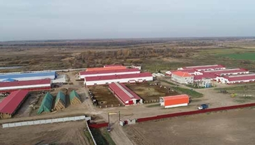 ЗАО "Агрофирма АНК", АНК-ХОЛДИНГ, Агрохолдинг АНК, Благовещенск, Амурская область, Агро-Тур, Цифрово