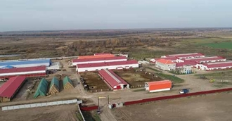 ЗАО "Племзавод СЕМЕНОВСКИЙ", ПЗ Семеновский, Семеновский, Республика Марий Эль