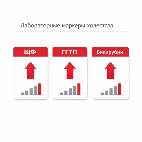 диагностика холестаза