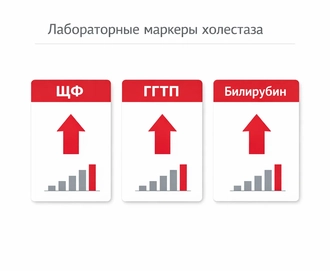 диагностика холестаза