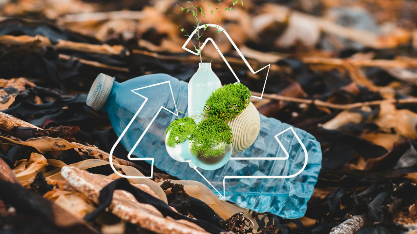 долгожданная свадьба