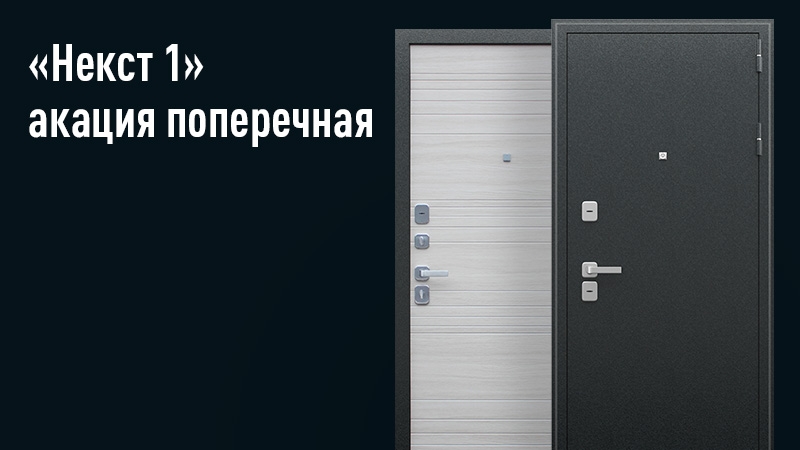 Квартирная входная дверь Некст 1