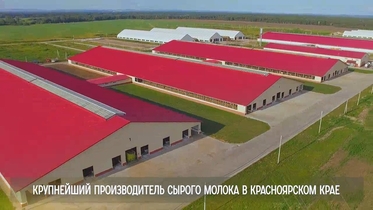 Цифровой Агро-Тур, ИП ГК(Ф)Х Зубарева Н.В., КФХ Зубарева, Красноярский край, Шушенский