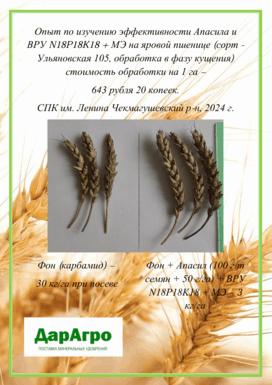 Примеры испытаний применения удобрения Апасила в Республике Башкортостан