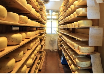 Преимущества сертификации происхождения товара для экспортеров