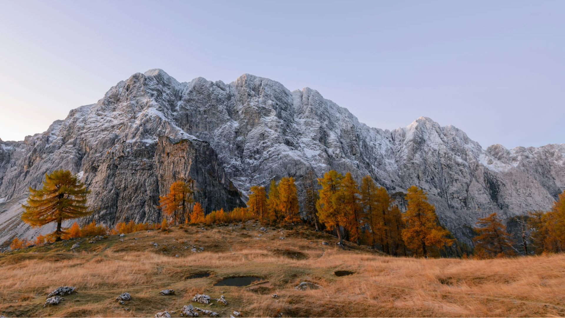 скалы