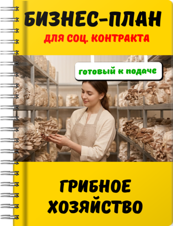 Бизнес-план для социального контракта - Грибное хозяйство