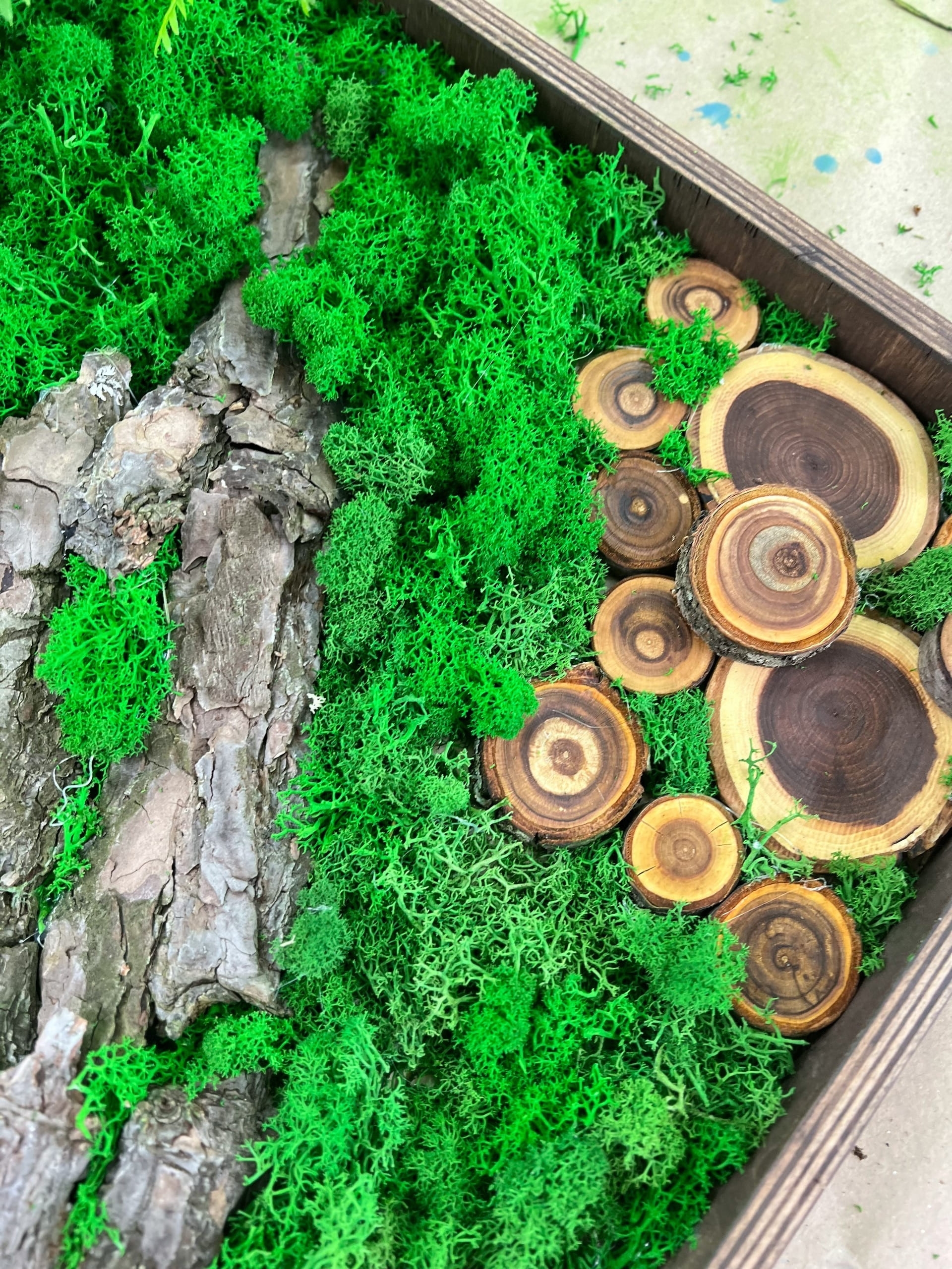 Пара сделала лесную картину на арт-свидании в Белгороде