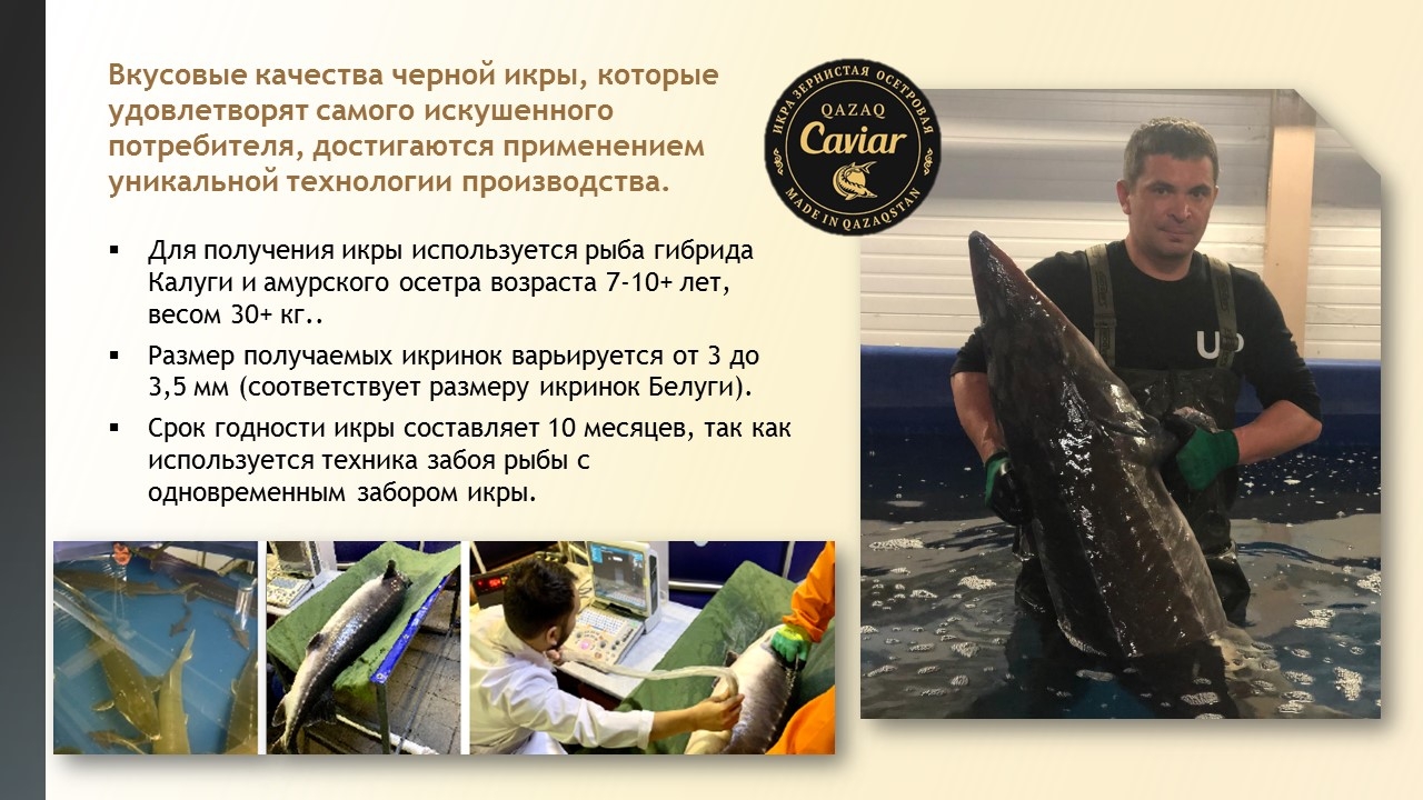 Создание презентаций. Слайд 5