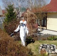 Клещевая и гербицидная обработка участка
