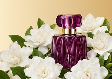 Новый Консультант