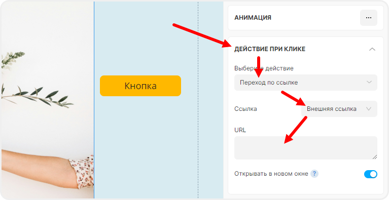 Ввод ссылки в картинку в mottor