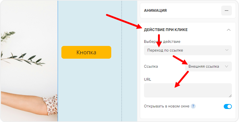 Ввод ссылки в картинку в mottor
