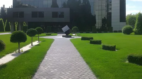 благоустройство территории