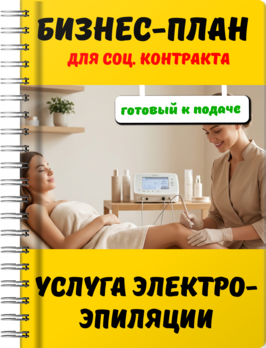 Бизнес-план для социального контракта - Услуга электроэпиляции