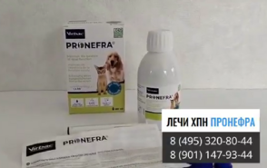 пронефра купить